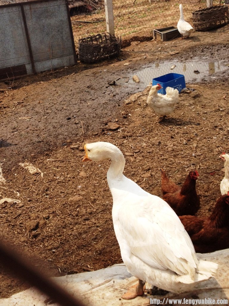 1304上课刷街四座楼 060.jpg