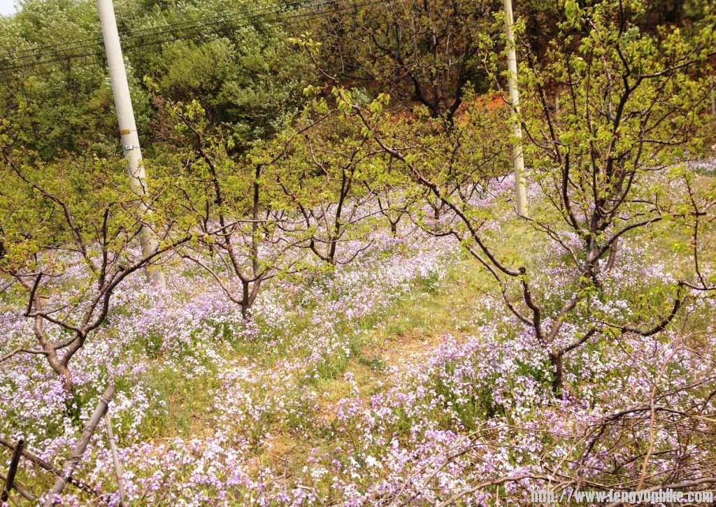 1304上课刷街四座楼 073.jpg