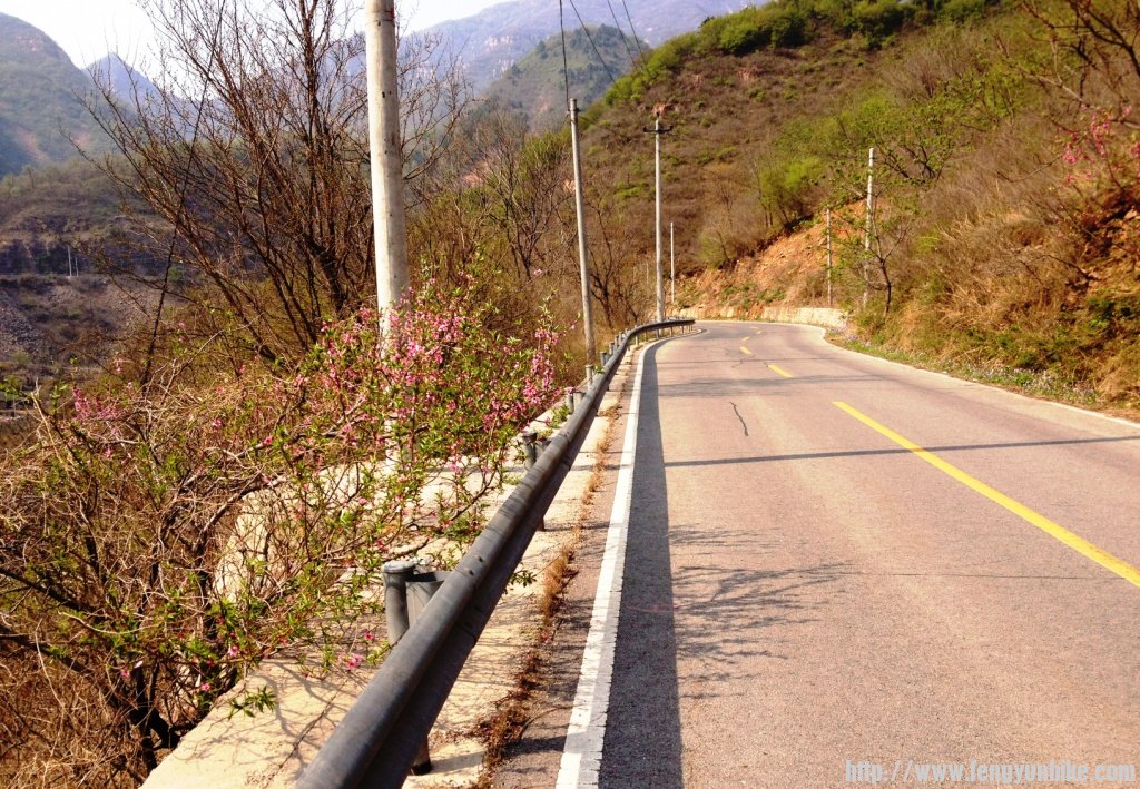 1304上课刷街四座楼 102.jpg