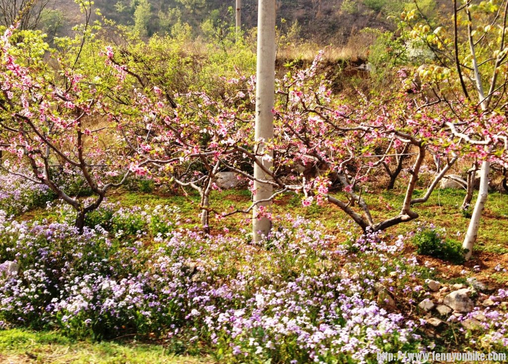 1304上课刷街四座楼 107.jpg