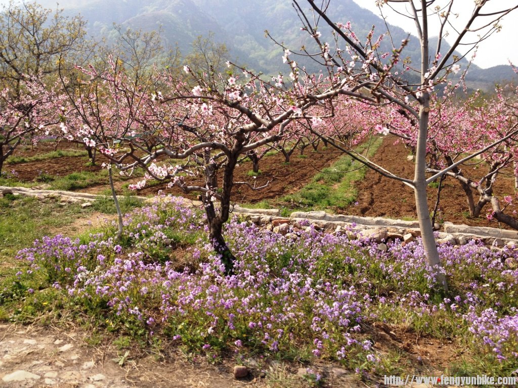 1304上课刷街四座楼 109.jpg