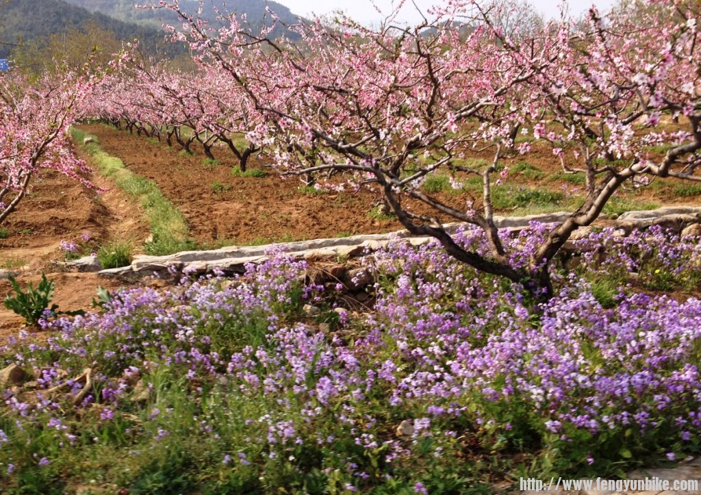 1304上课刷街四座楼 110.jpg