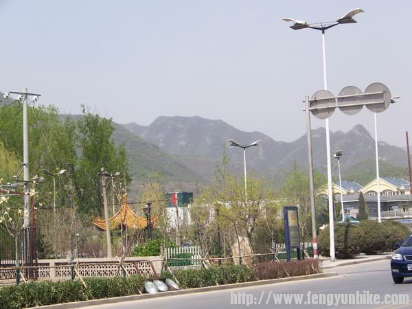 调整大小 100_9669.JPG