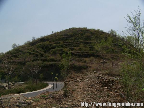 调整大小 100_9682.JPG