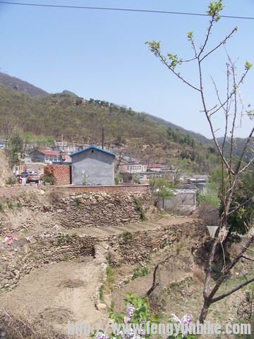 调整大小 100_9691.JPG