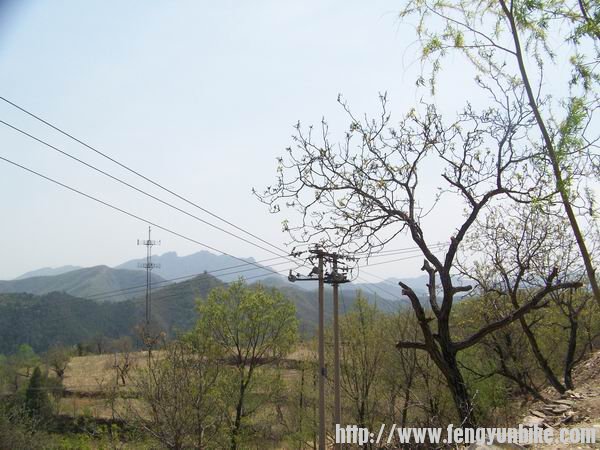 调整大小 100_9692.JPG