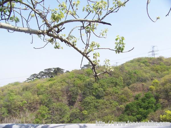 调整大小 100_9702.JPG