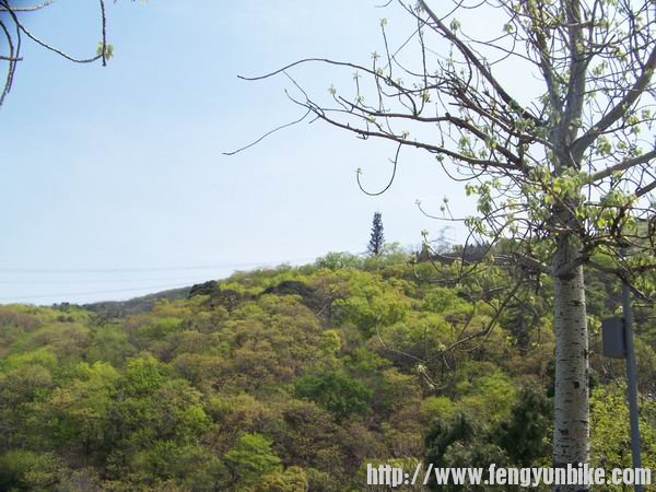 调整大小 100_9703.JPG