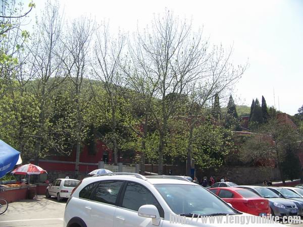 调整大小 100_9709.JPG