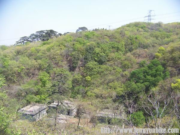 调整大小 100_9712.JPG