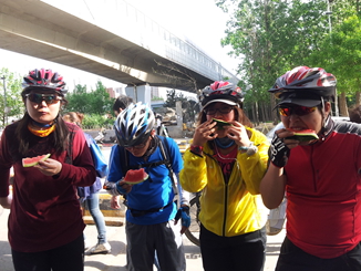 不要西处看，不要听，不要想，用力啃！