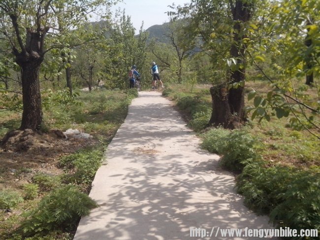 确定好方向，就不等我了，一溜烟跑了