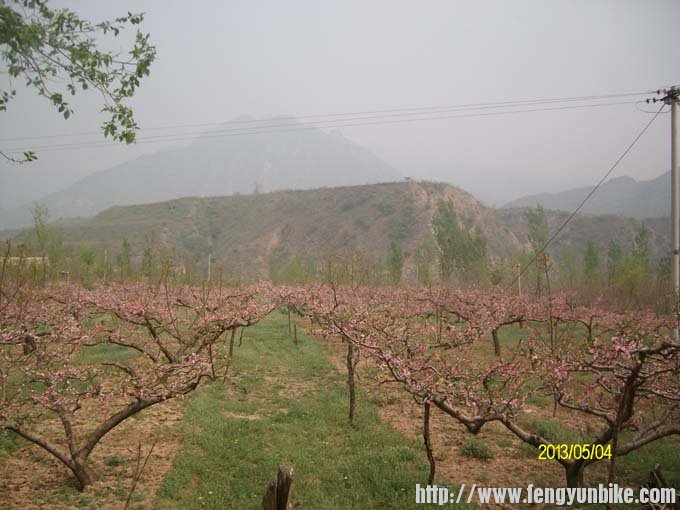 15爬高崖口途中可見到果园.JPG