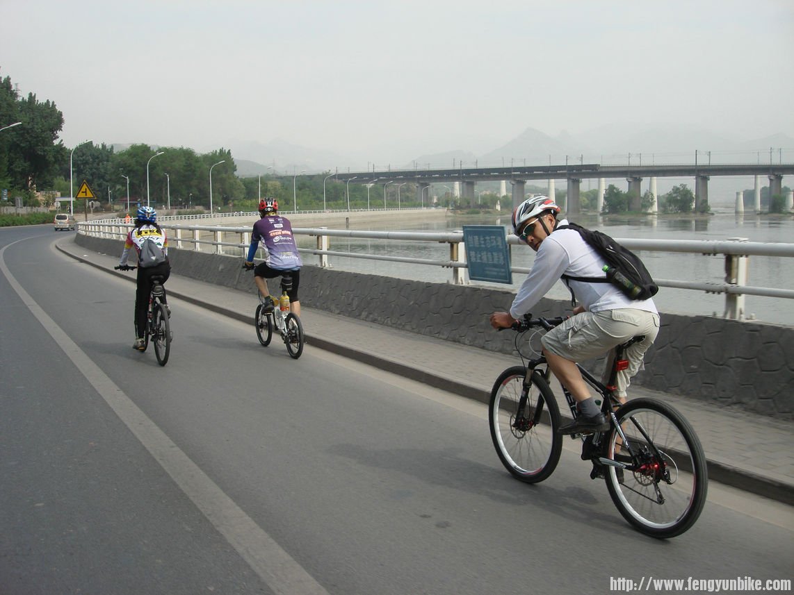 洛玻，玫瑰，李哥