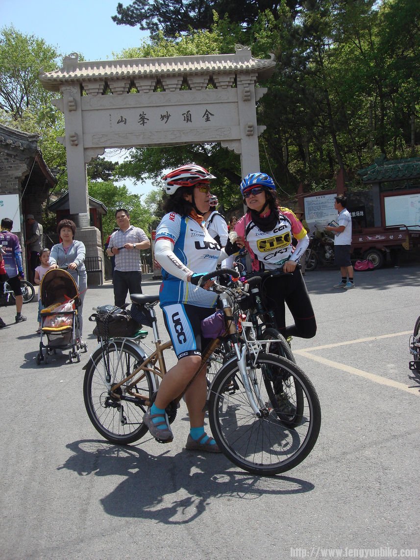 玫瑰上来抢着吃