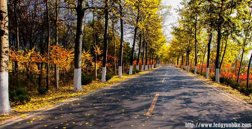 _MG_4258-偏振 渐变灰.jpg