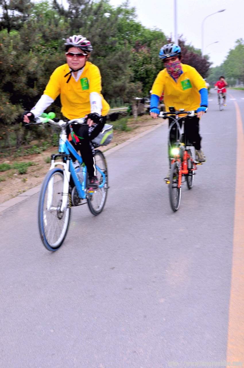 小石头、兔子阿呆