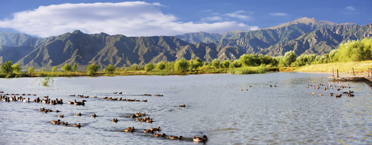 野鸭湖国家湿地公园