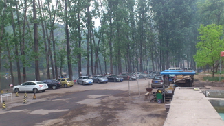 拍婚纱照的新娘子们好多对呢