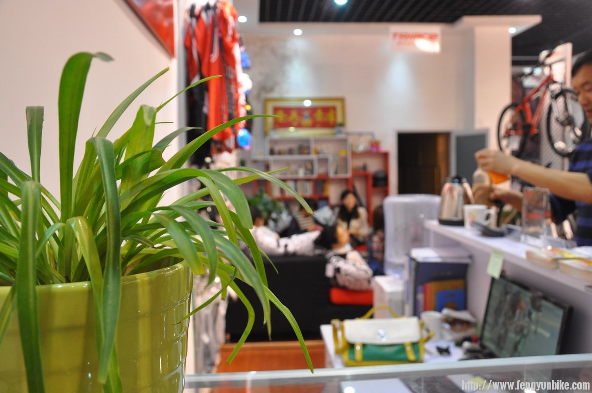 03.被俺修好的吊兰