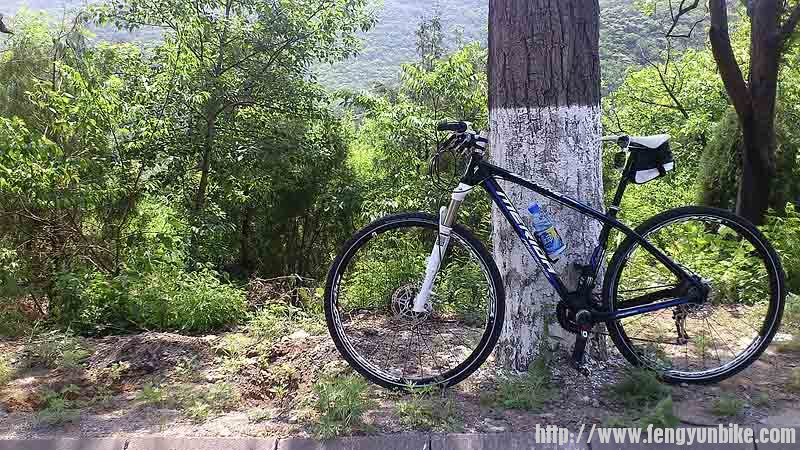 松树岭之前，休息