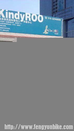 IMAG5512 (282x500).jpg