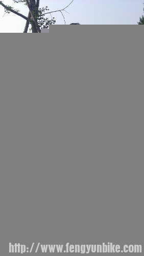 IMAG5515 (282x500).jpg