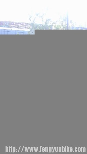 IMAG5517 (282x500).jpg