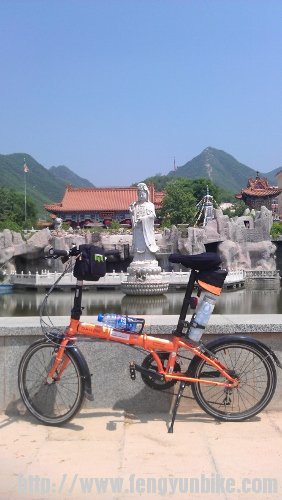 IMAG5540 (282x500).jpg