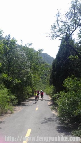 IMAG5556 (282x500).jpg