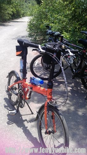 IMAG5557 (282x500).jpg