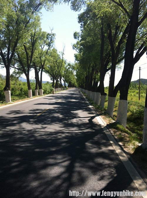 这种路只有到郊区才有了