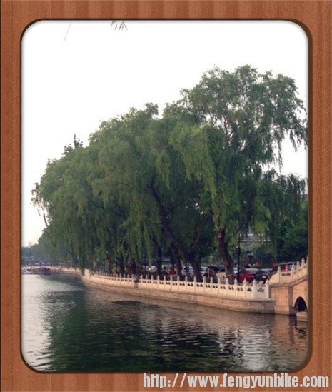 堤岸！