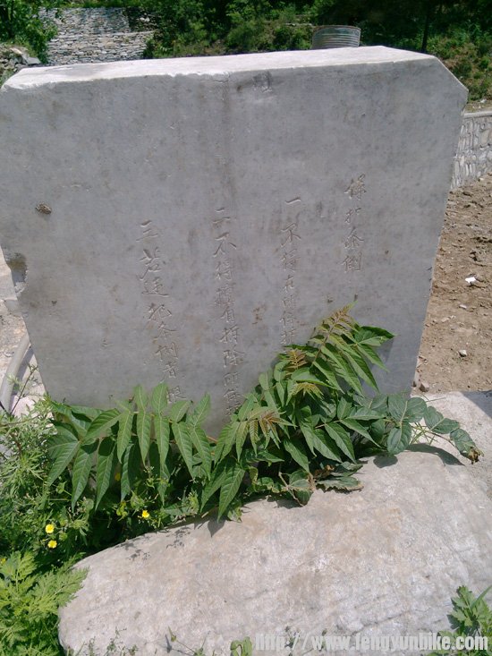 保护文物,刻不容缓!