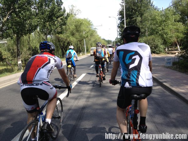 传统老年爱情组新照