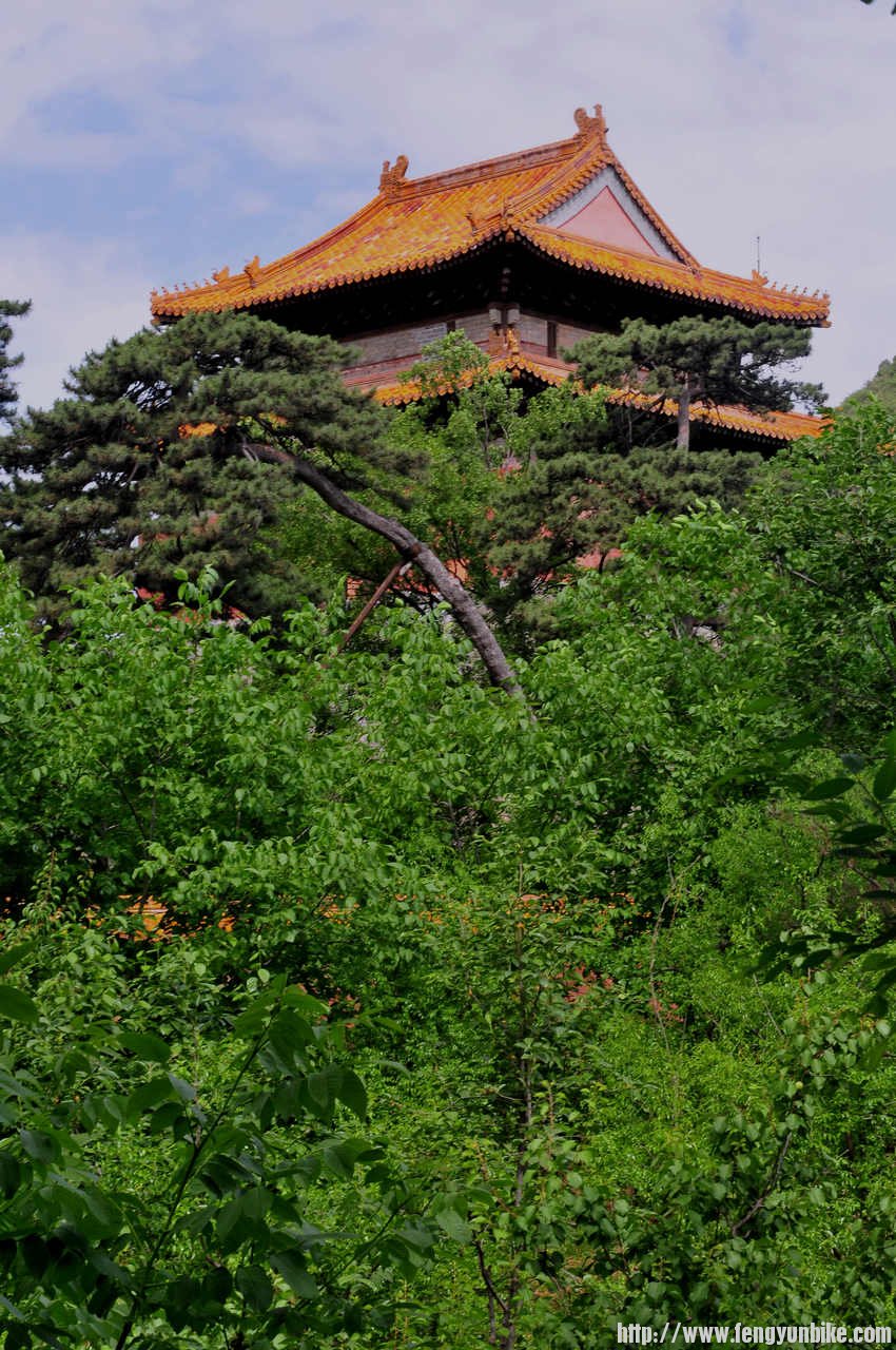 我跟不上他们我随时拍照