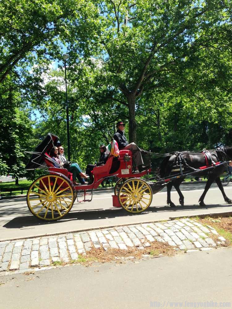 中央公园的马车