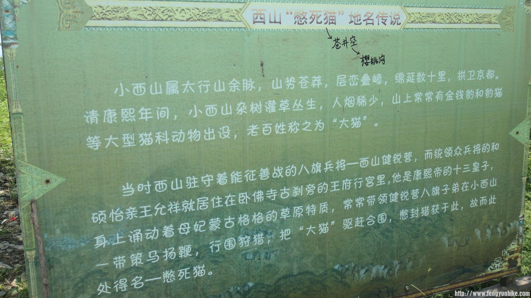 憋死猫的来历！