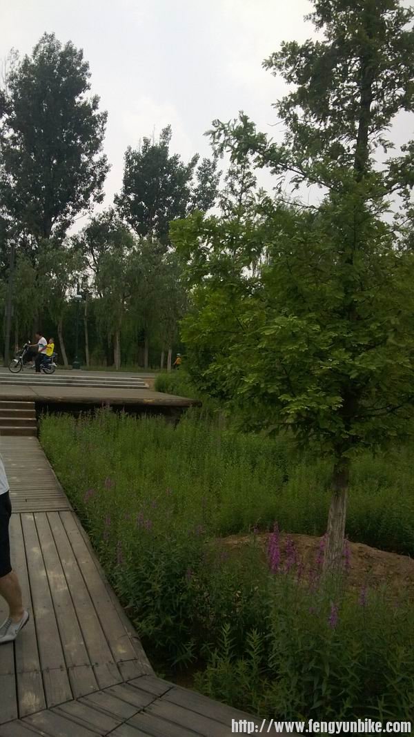 调整大小 WP_20130611_025.jpg