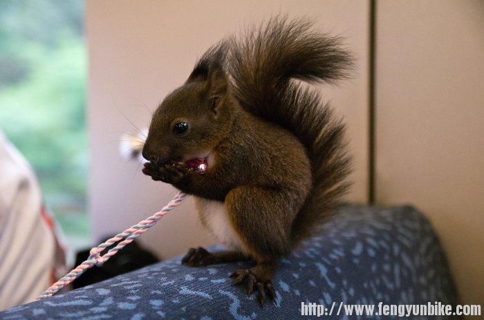 沫沫的喳喳，太好玩了