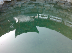 拍手会冒泡的珍珠泉