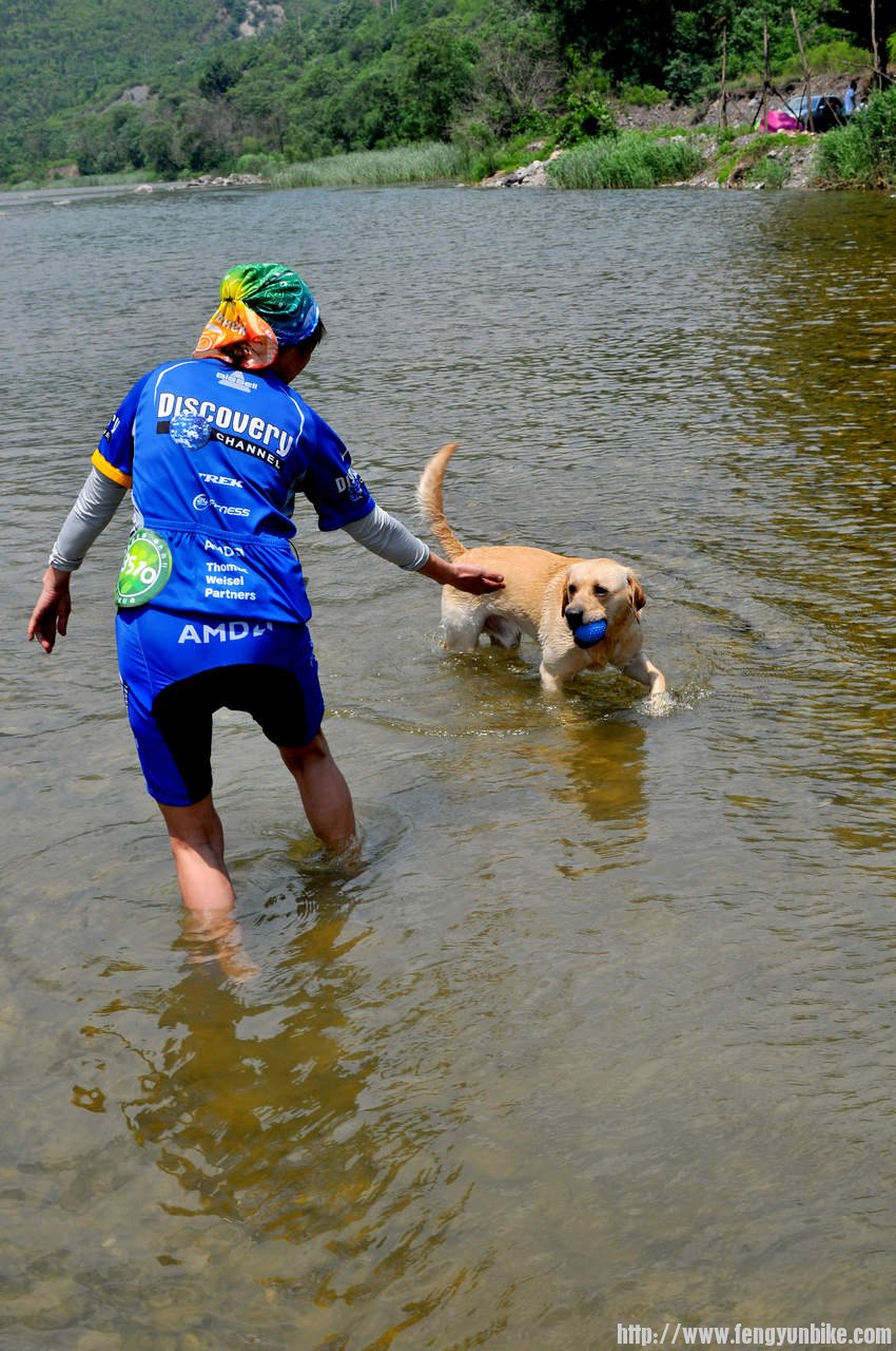 这个小黄狗认生不理睬！