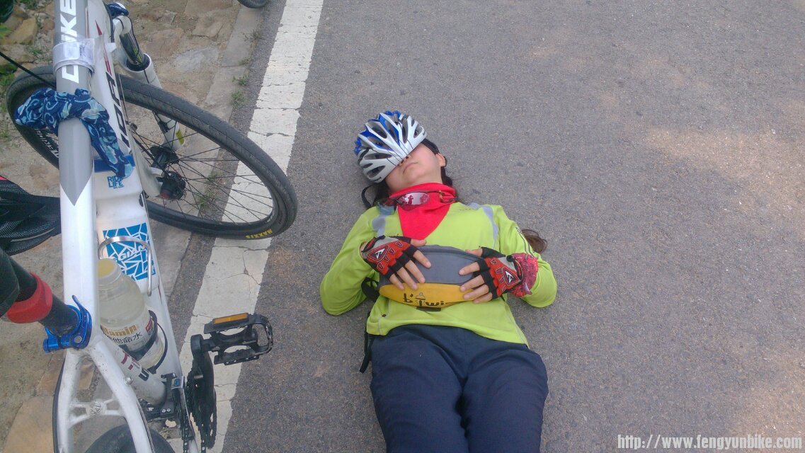 毛球真嘀睡着了