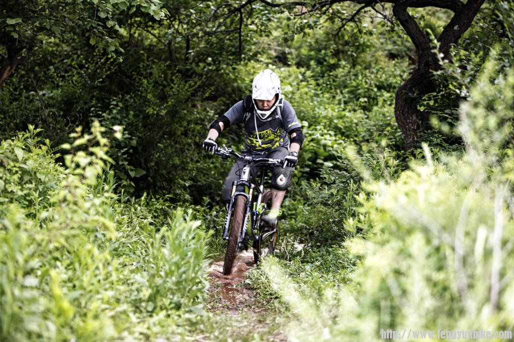 撸撸总是不慌不忙的样子，因为他知道，打后阵的不是他……