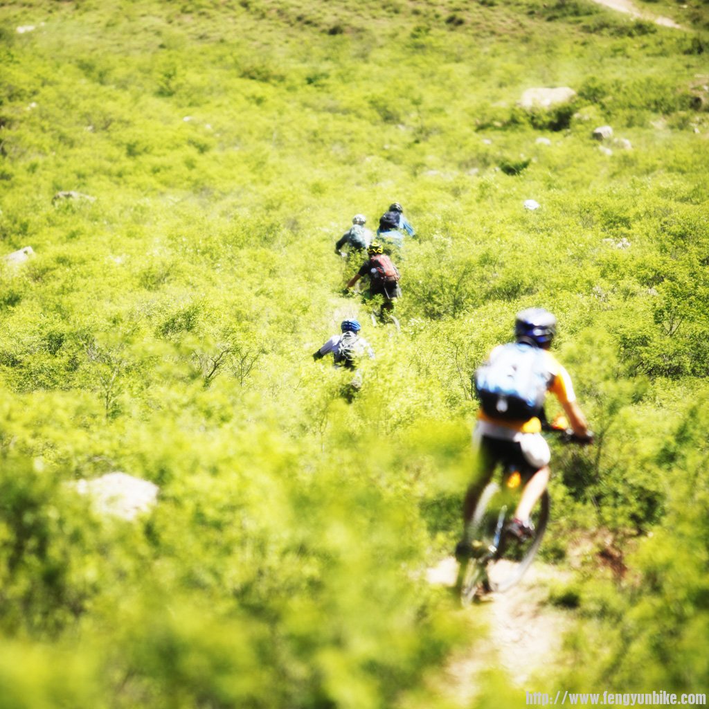 待到赏花烂漫时……