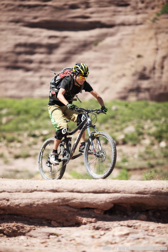 腾腾的这张照片还是不错的~背景很干净