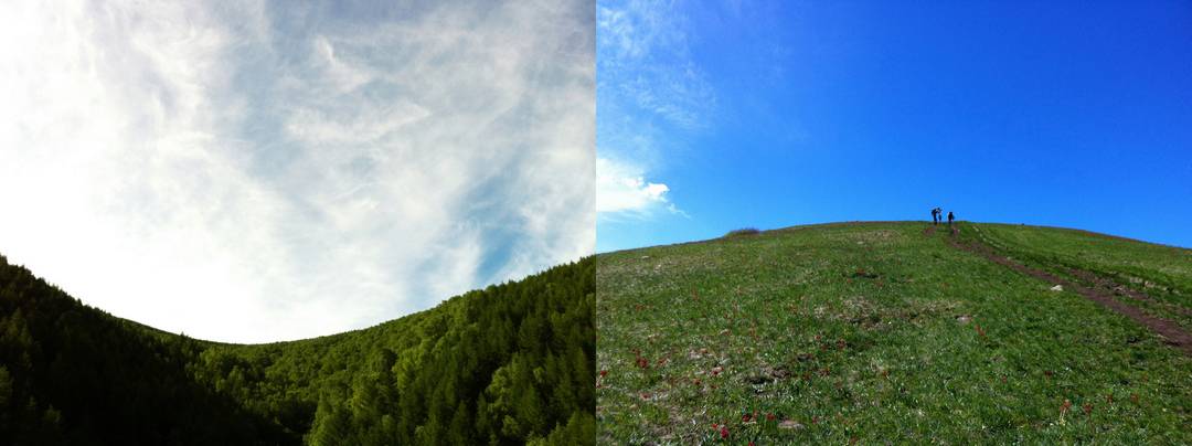 dsc_ht6_副本1.jpg