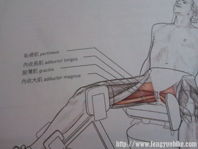 2013-06-16 06.43.15.jpg