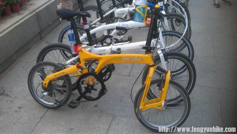 车子基本到齐了