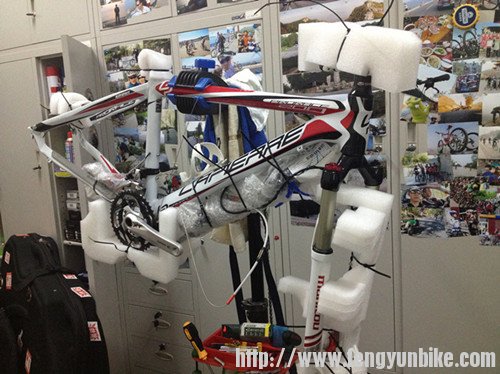 小公牛被肢解的自行车